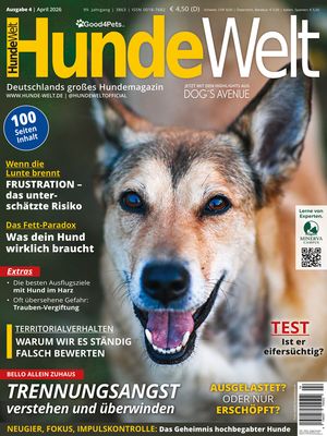 HundeWelt 04.2026 (Digital, Einzelheft)