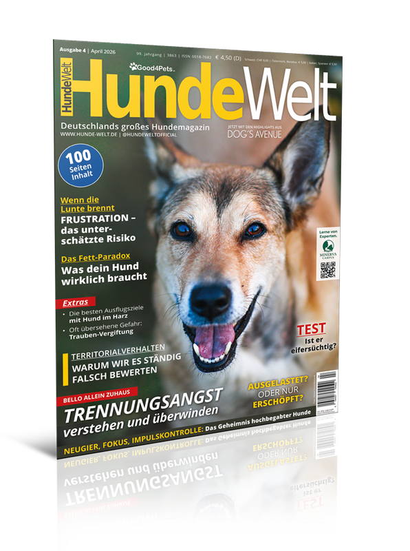 HundeWelt 04.2026 (Digital, Einzelheft)