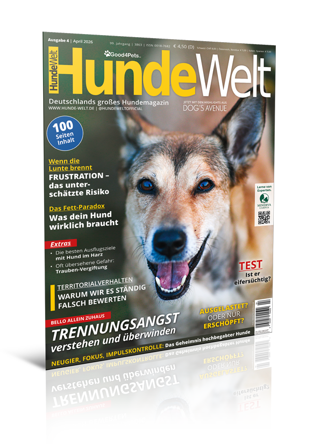HundeWelt 04.2026 (Print, Einzelheft)
