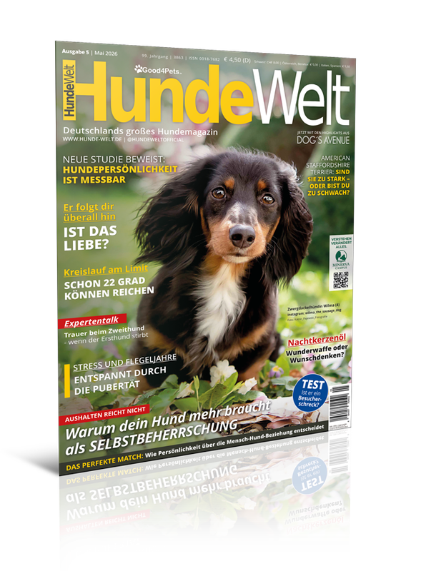 HundeWelt 05.2026 (Print, Einzelheft)