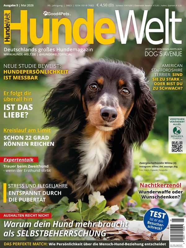 HundeWelt 05.2026 (Print, Einzelheft)