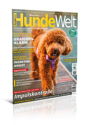 HundeWelt 06.2026 (Digital, Einzelheft)
