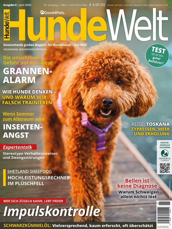 HundeWelt 06.2026 (Print, Einzelheft)