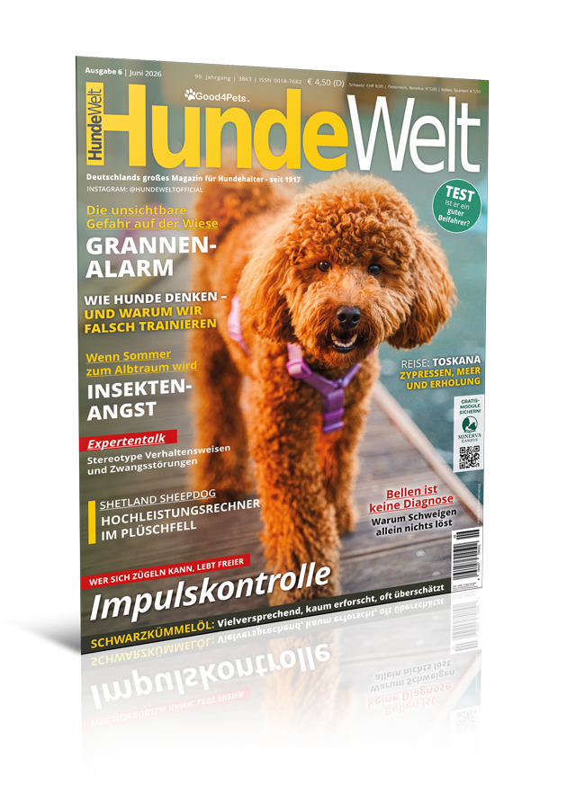 HundeWelt 06.2026 (Print, Einzelheft)