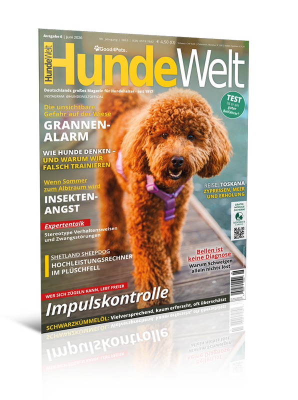 HundeWelt 06.2026 (Print, Einzelheft) HundeWelt 06.2026 (Print, Einzelheft)