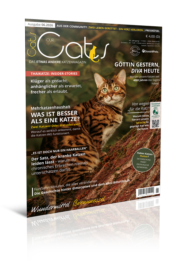 Our Cats 06.2026 (Print, Einzelheft)