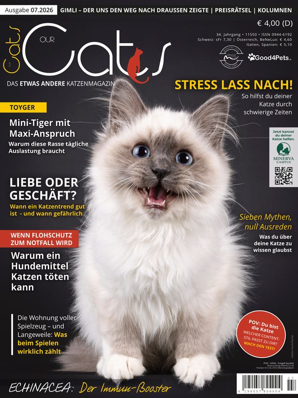 Our Cats 07.2026 (Print, Einzelheft)