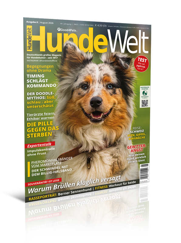 HundeWelt 08.2026 (Digital, Einzelheft)