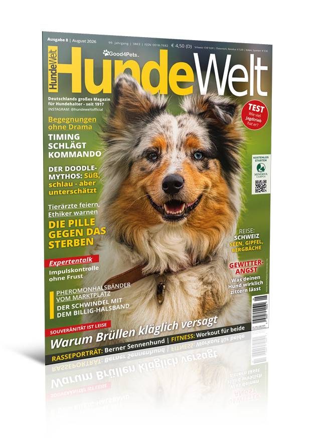 HundeWelt 08.2026 (Print, Einzelheft)