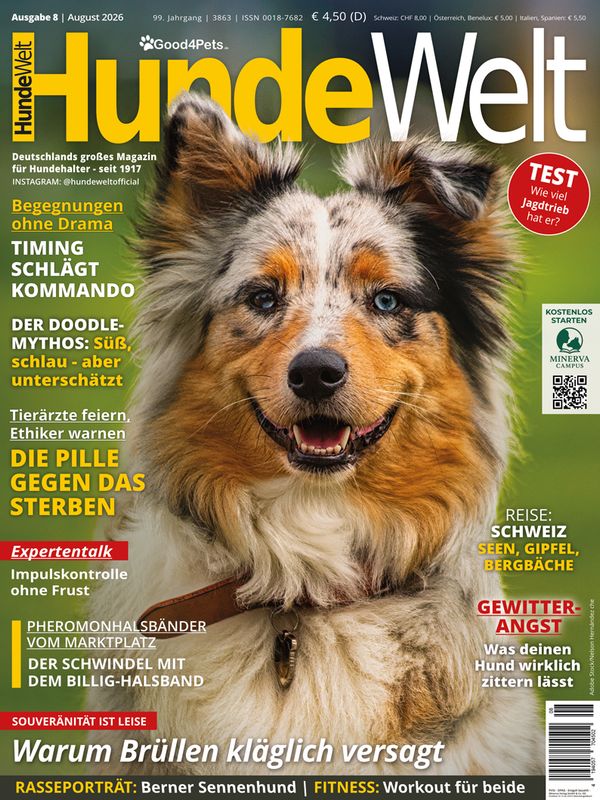 HundeWelt 08.2026 (Print, Einzelheft)