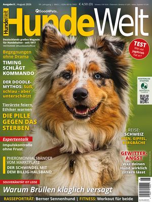 HundeWelt 08.2026 (Print, Einzelheft)
