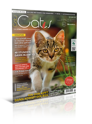 Our Cats 08.2026 (Print, Einzelheft)