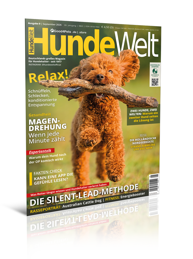 HundeWelt 09.2026 (Digital, Einzelheft) HundeWelt 09.2026 (Digital, Einzelheft)