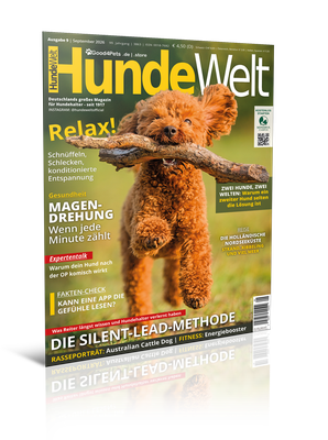 HundeWelt 09.2026 (Digital, Einzelheft) HundeWelt 09.2026 (Digital, Einzelheft)