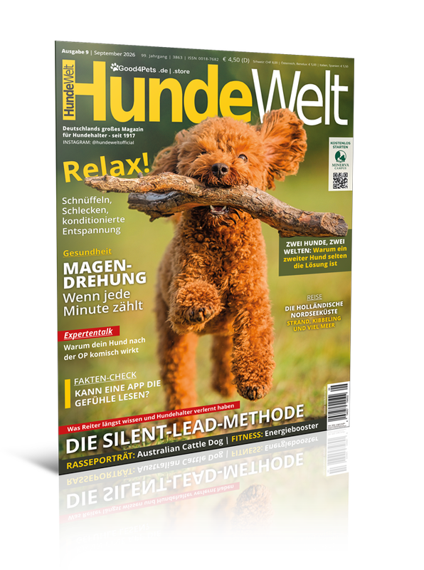 HundeWelt 09.2026 (Print, Einzelheft) HundeWelt 09.2026 (Print, Einzelheft)
