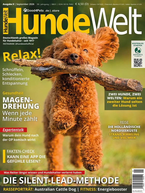HundeWelt 09.2026 (Print, Einzelheft)