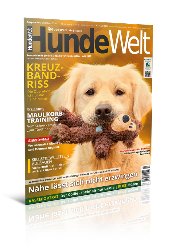 HundeWelt 10.2026 (Print, Einzelheft)
