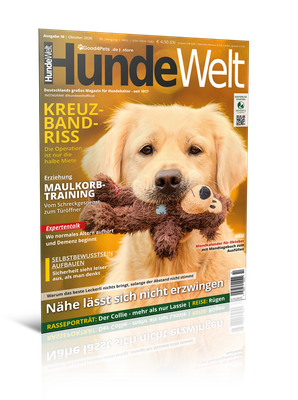 HundeWelt 10.2026 (Print, Einzelheft) HundeWelt 10.2026 (Print, Einzelheft)