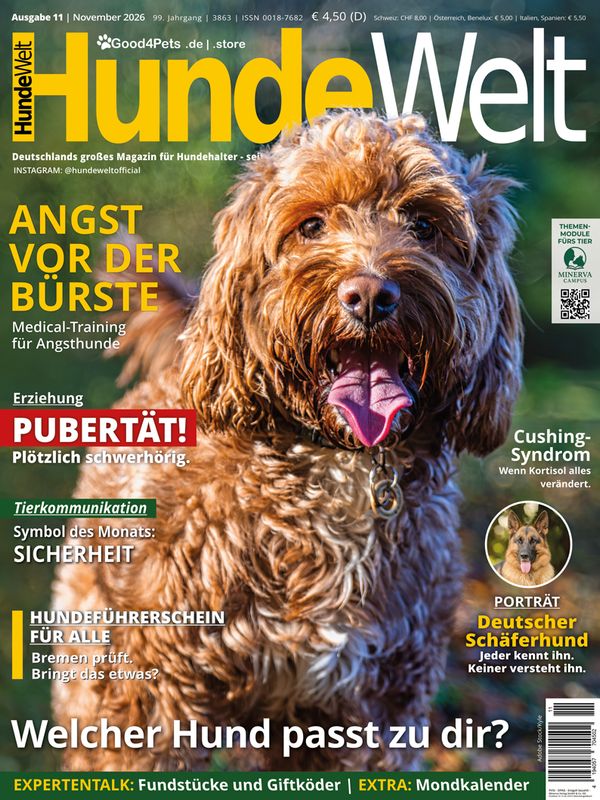 HundeWelt 11.2026 (Digital, Einzelheft)