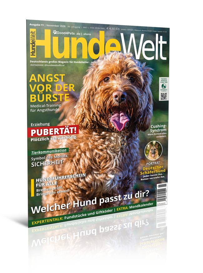 HundeWelt 11.2026 (Digital, Einzelheft)