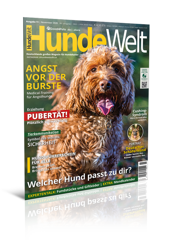 HundeWelt 11.2026 (Digital, Einzelheft)