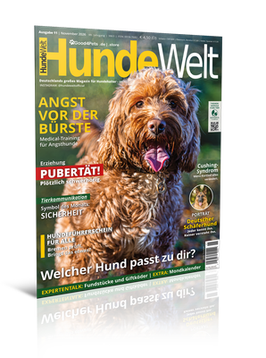 HundeWelt 11.2026 (Digital, Einzelheft)