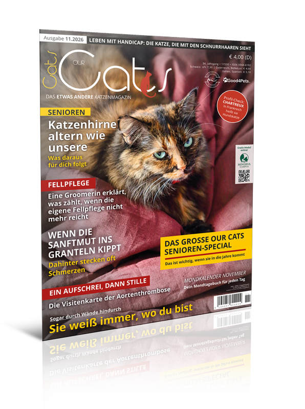 Our Cats 11.2026 (Print, Einzelheft) Our Cats 11.2026 (Print, Einzelheft)