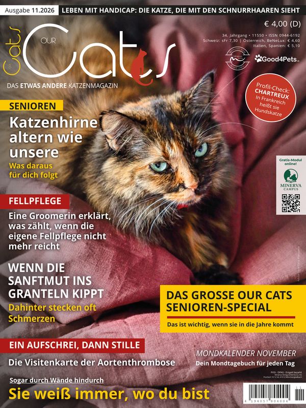 Our Cats 11.2026 (Print, Einzelheft)