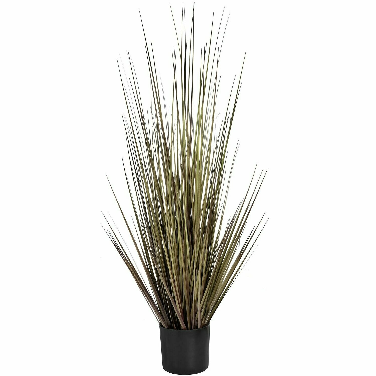 Spray Grass