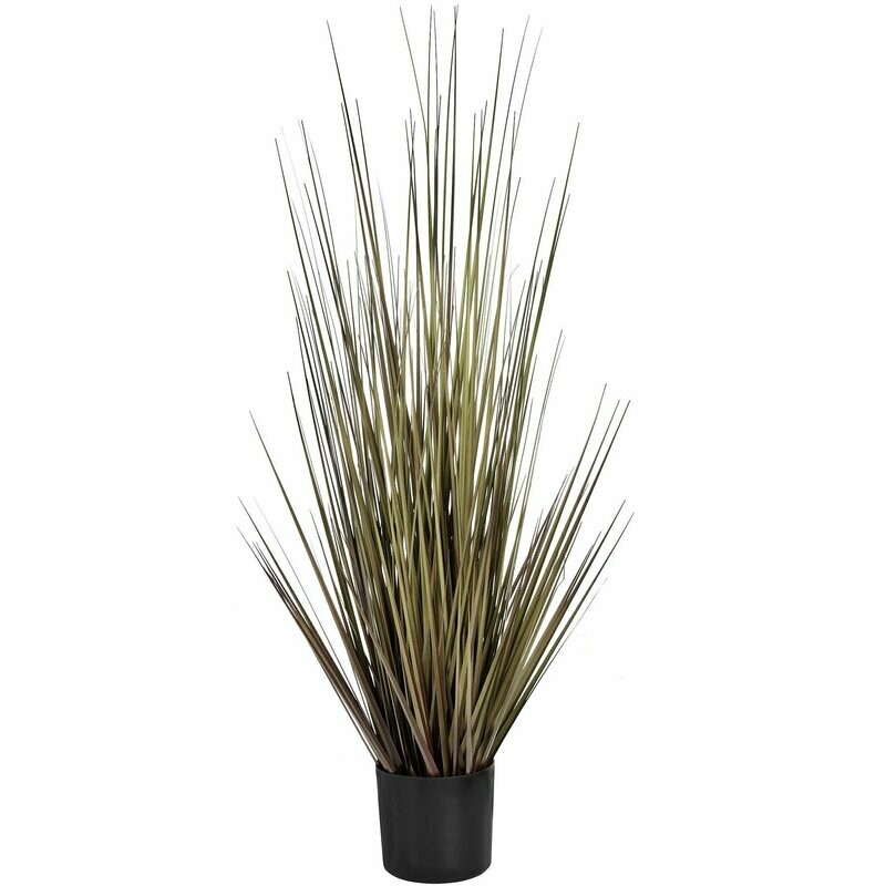 Spray Grass