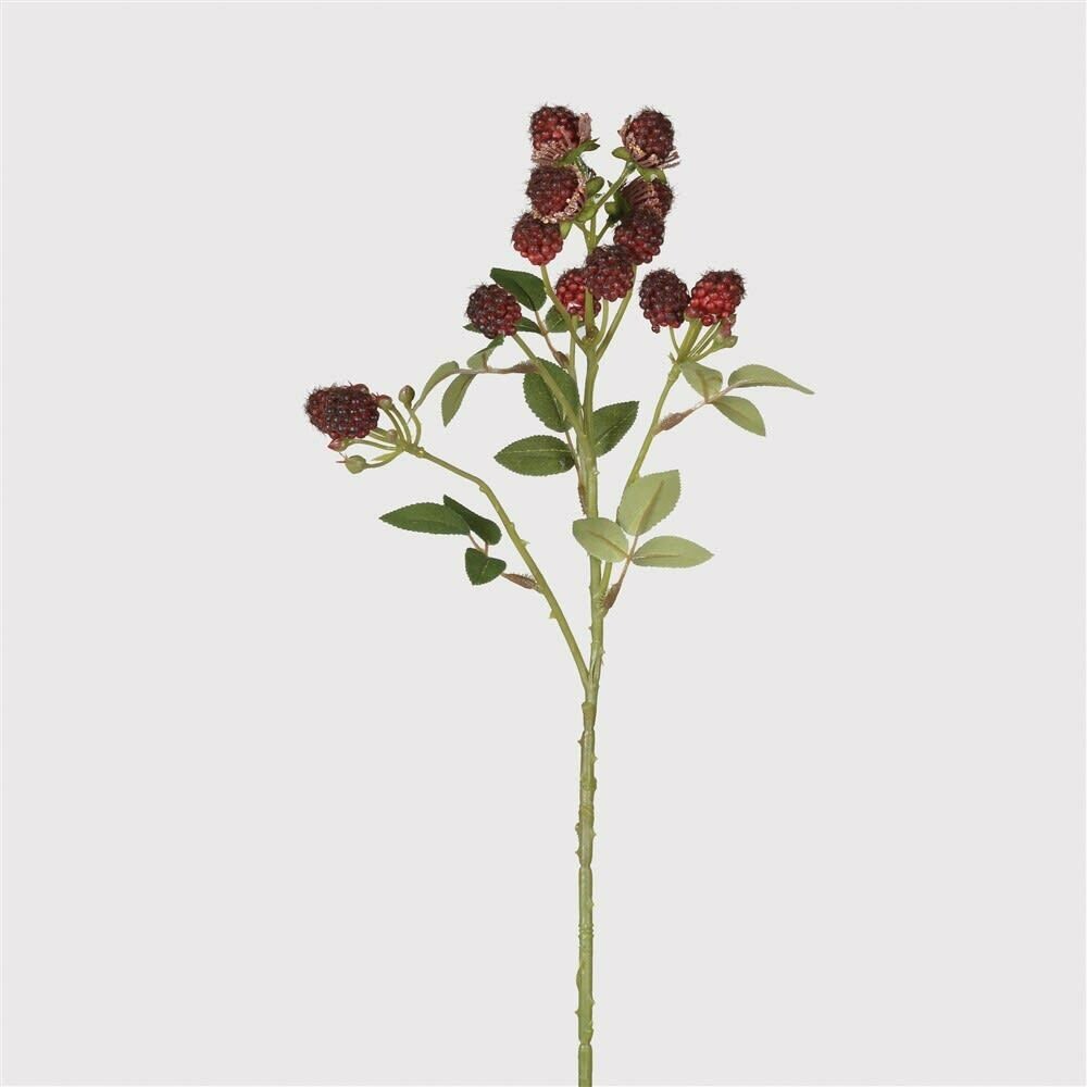 Raspberry Spray