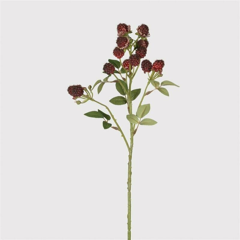 Raspberry Spray