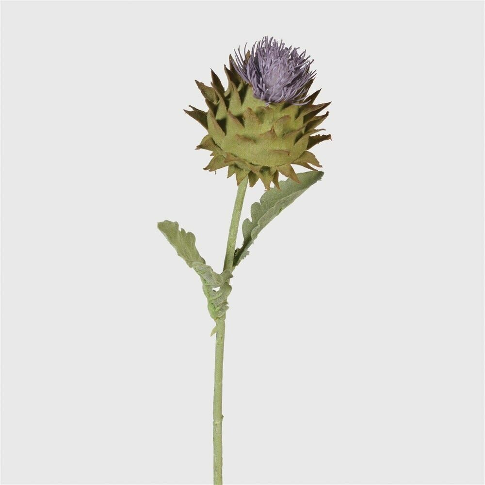 Autumn Thistle