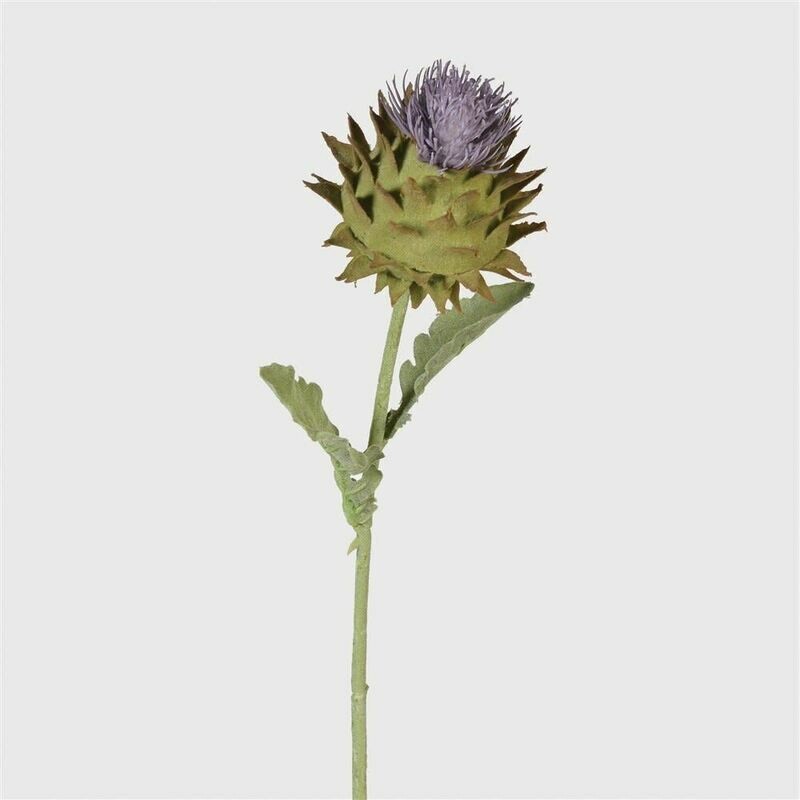 Autumn Thistle