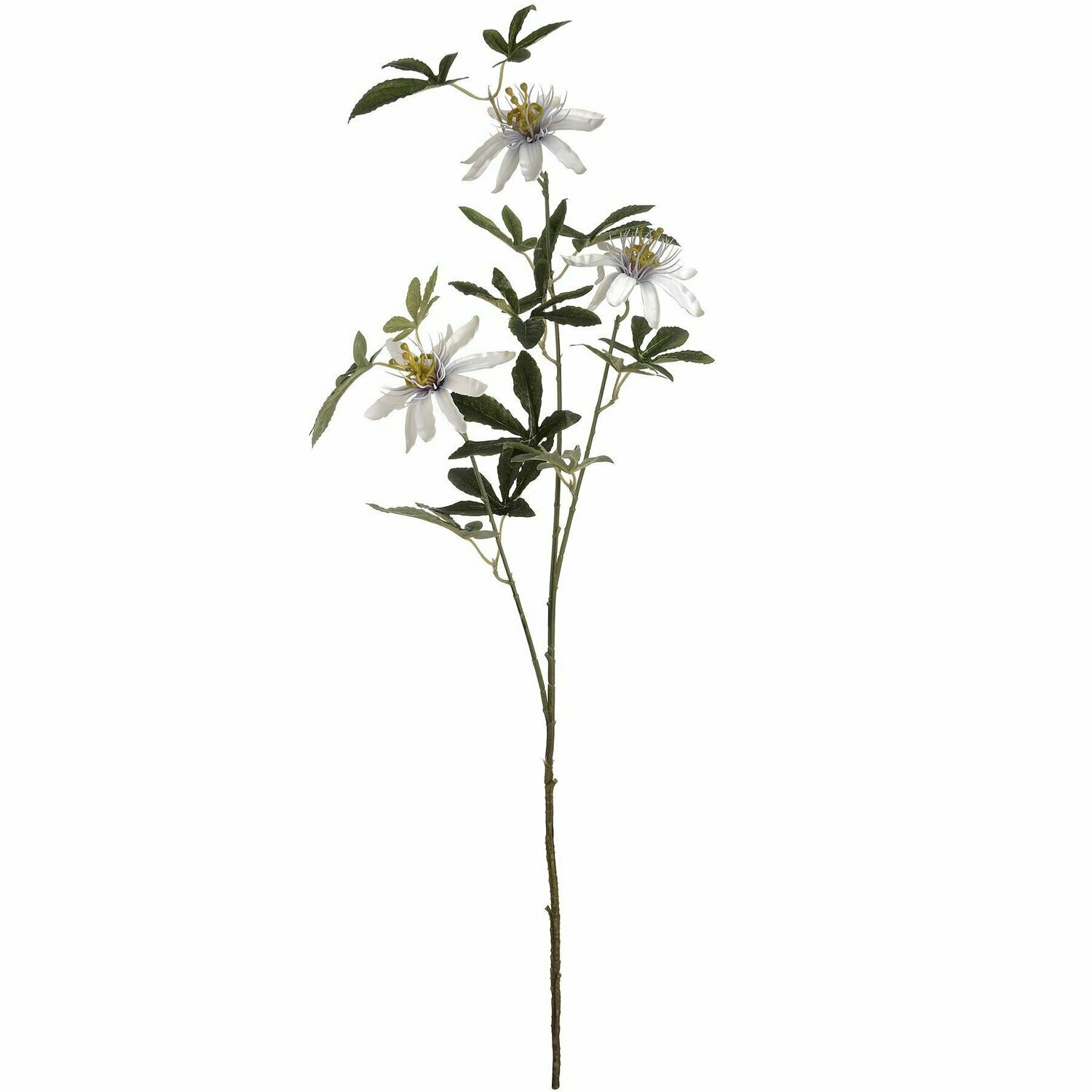 Passion Flower Spray