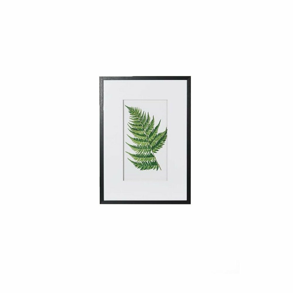 Fern Picture (individually priced)