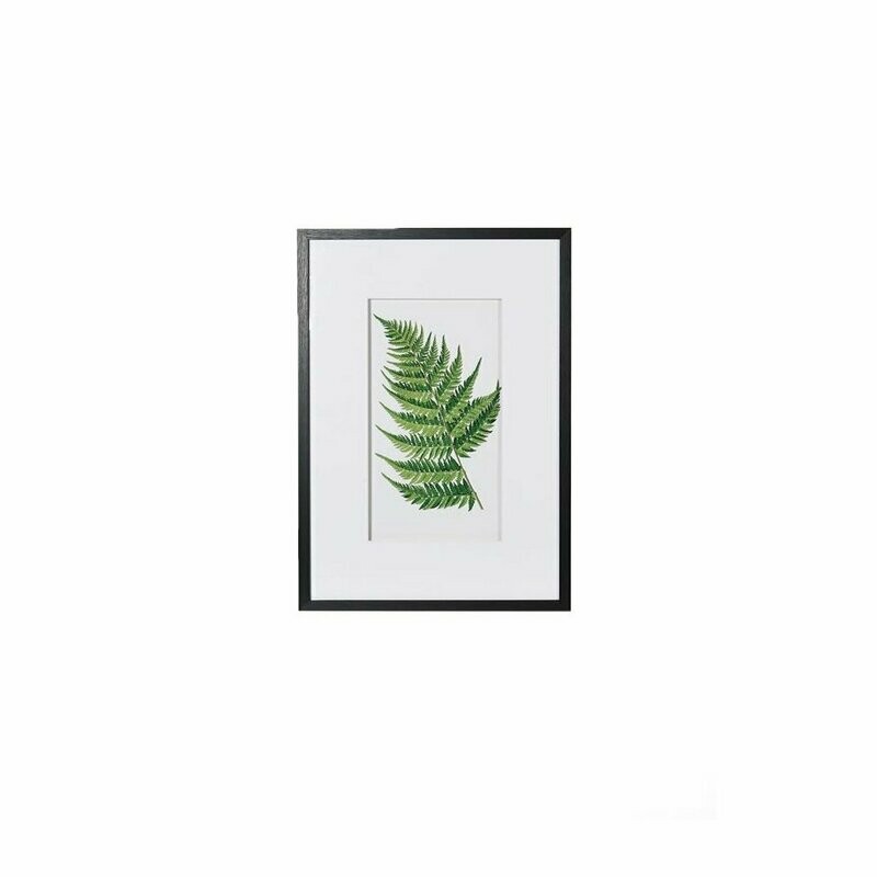 Fern Picture (individually priced)