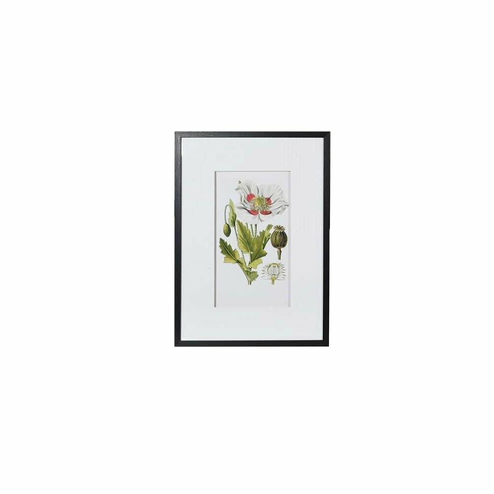 Floral Picture (individually priced)