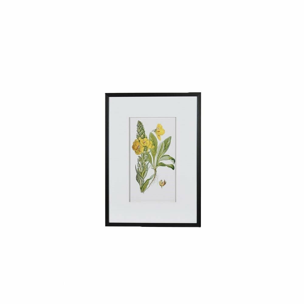 Floral Picture (individually priced)