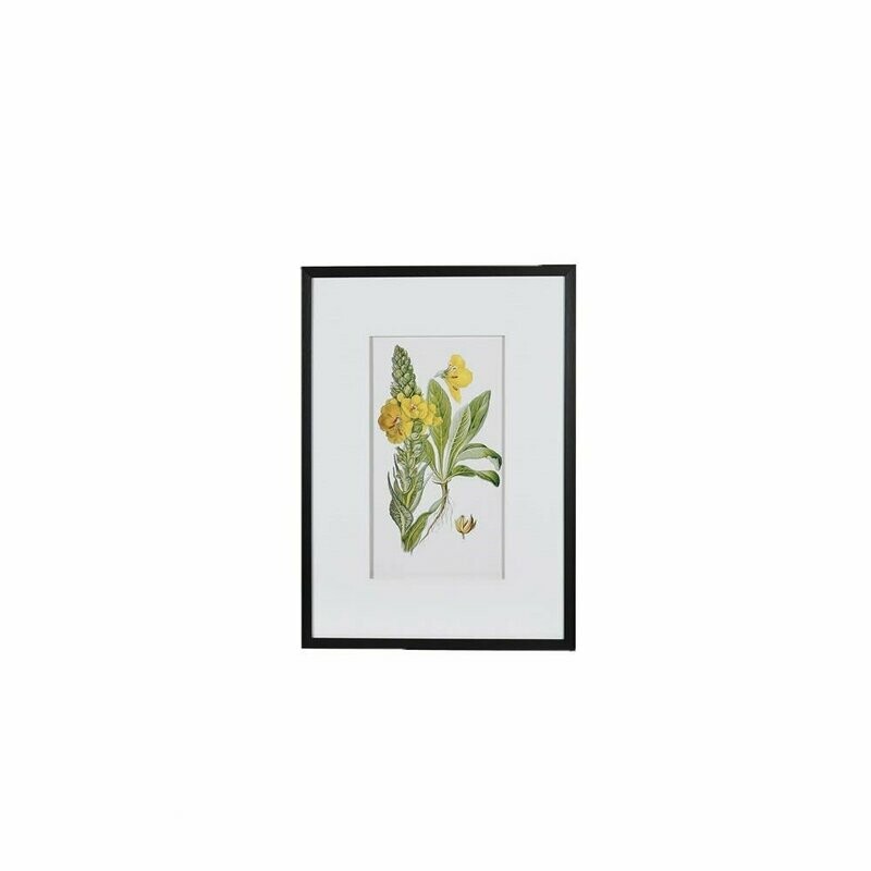 Floral Picture (individually priced)