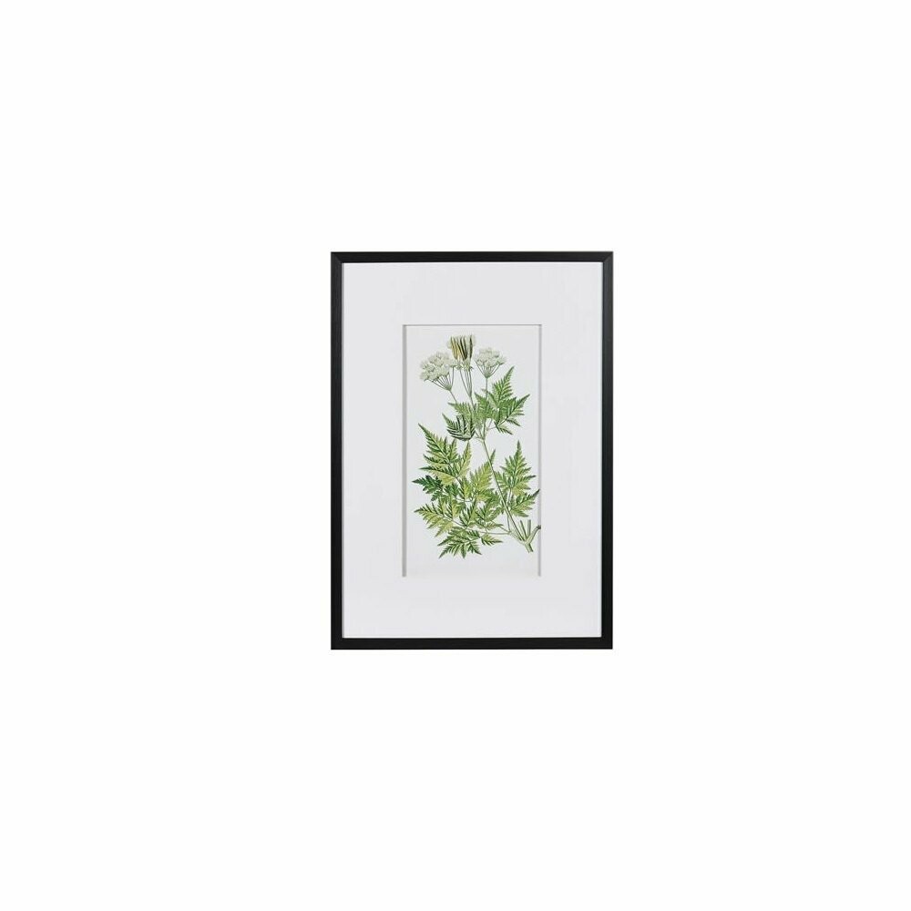 Fern Picture (individually priced)