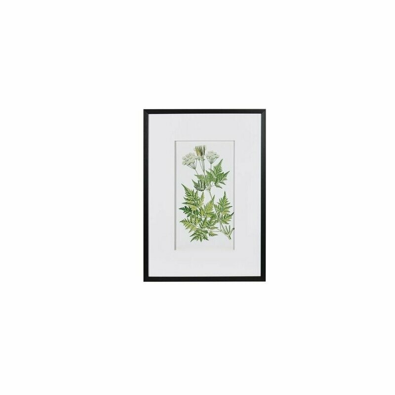 Fern Picture (individually priced)