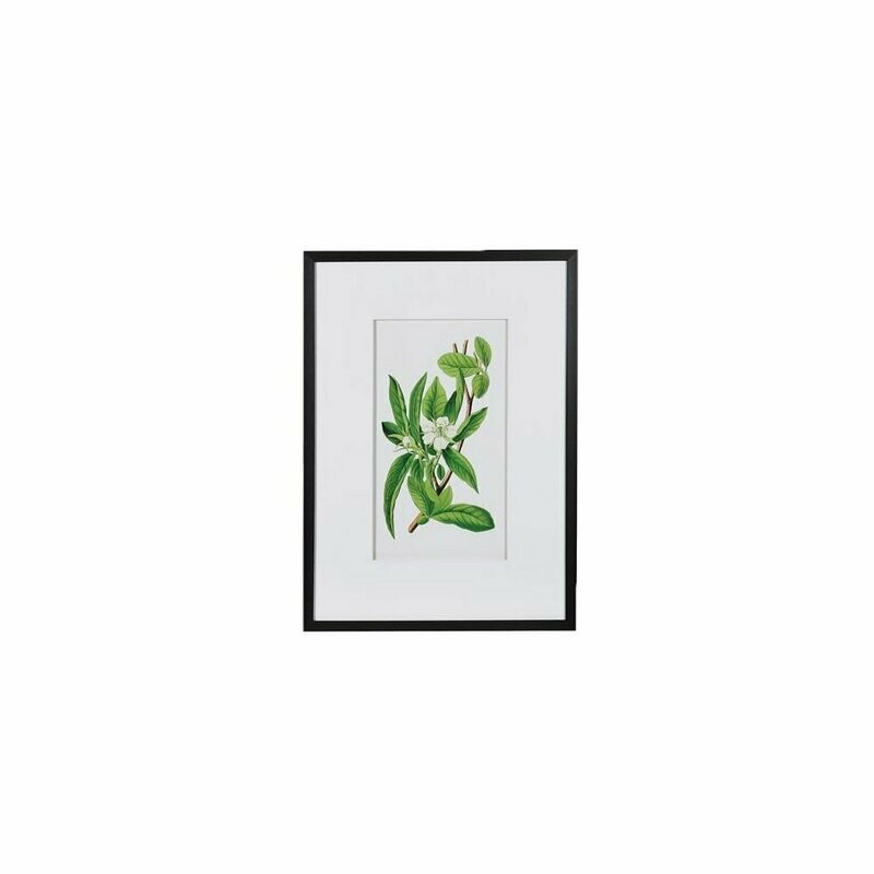 Floral Picture (individually priced)