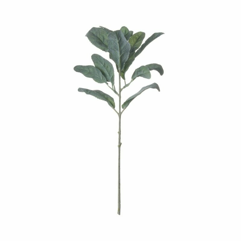 Lamb's Ear Spray