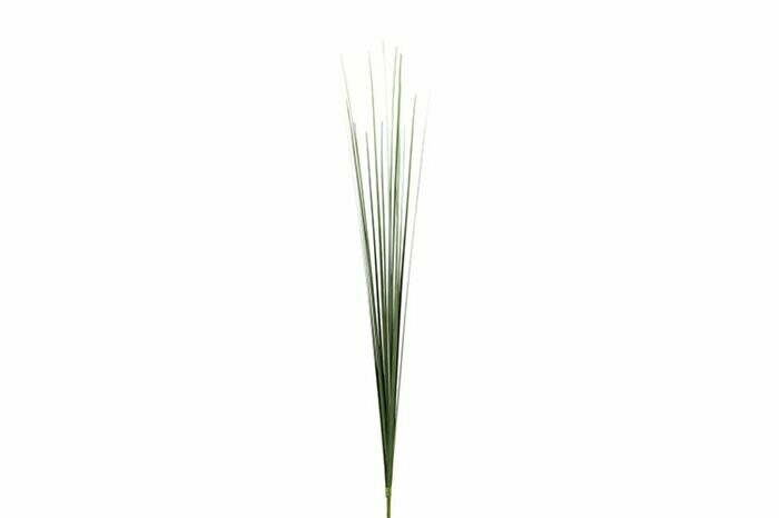 Grass Stems -