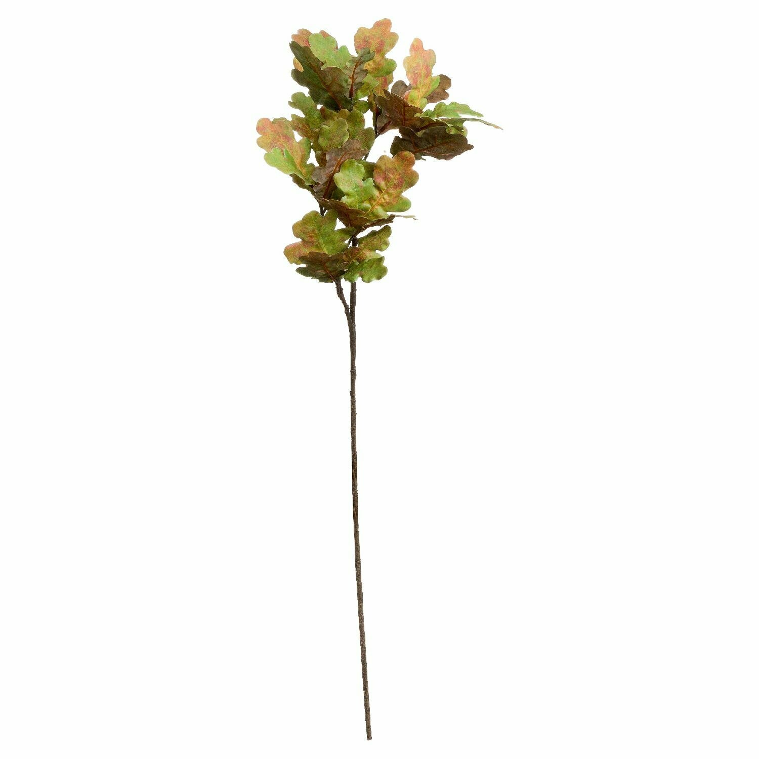 Oak Leaf