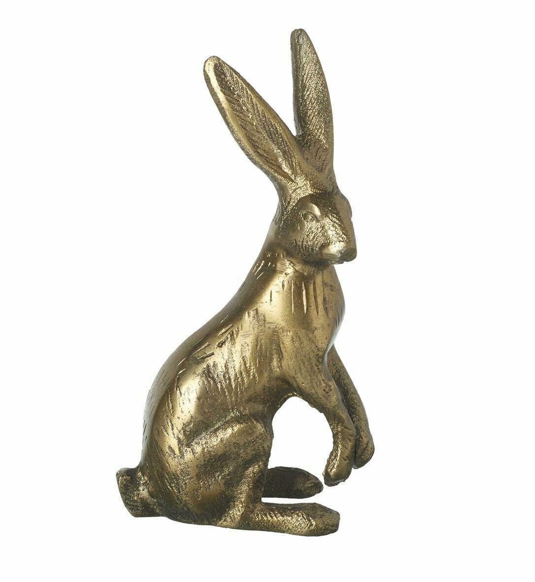 Hare
