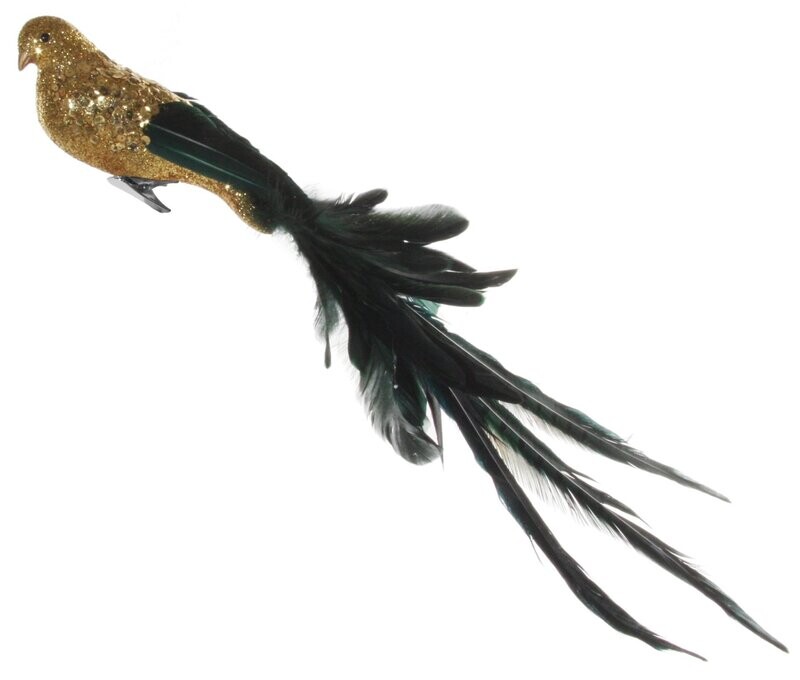 Feather Bird with Pheasant Tail