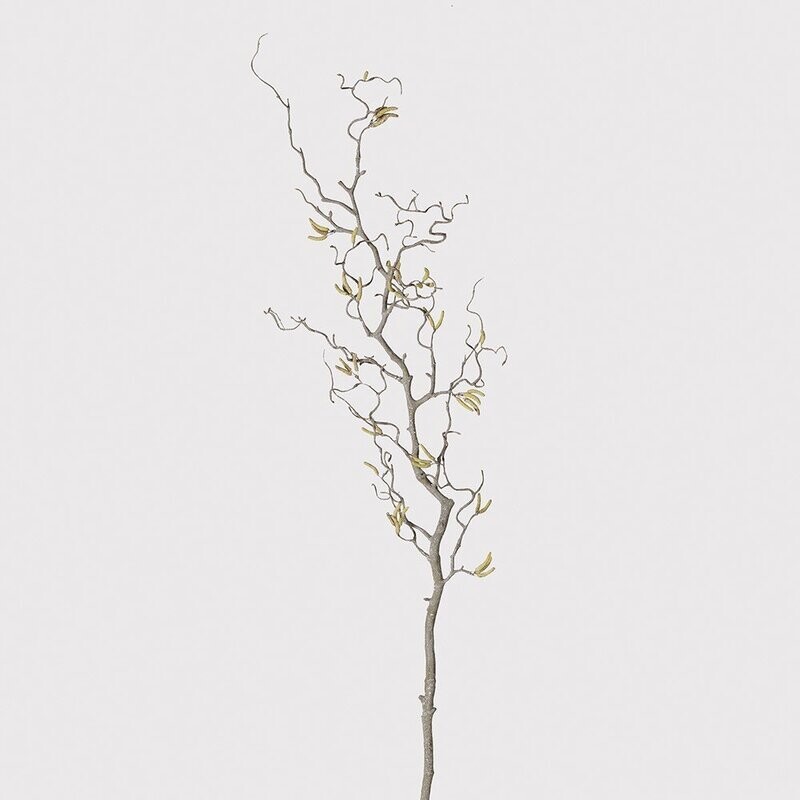 Contorted Willow Branch with Catkins