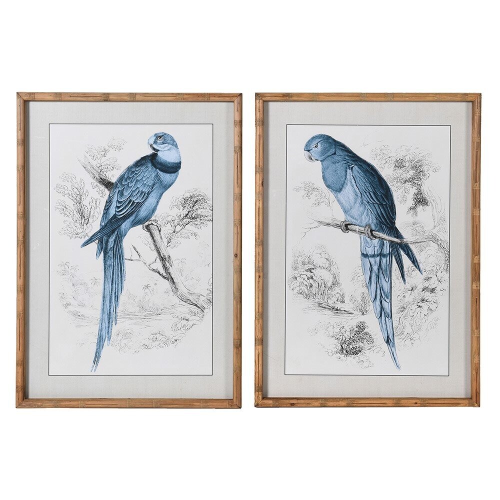 Blue Parrot Picture (individually priced)